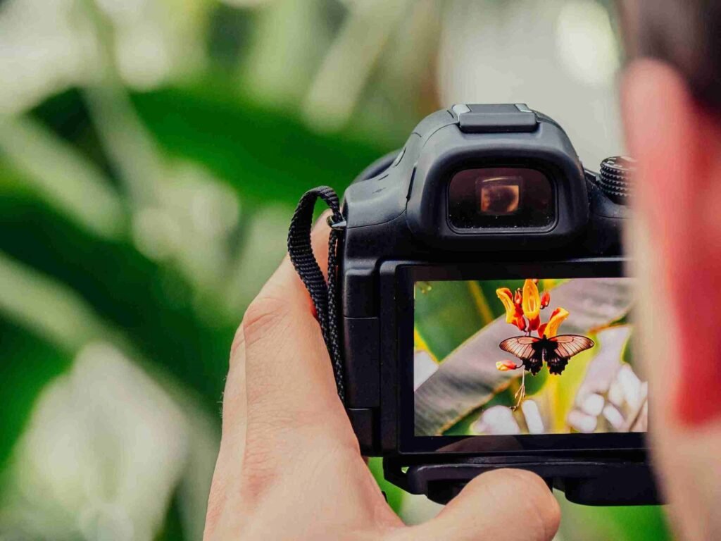 Easy Photography Tips for Better Visual Content