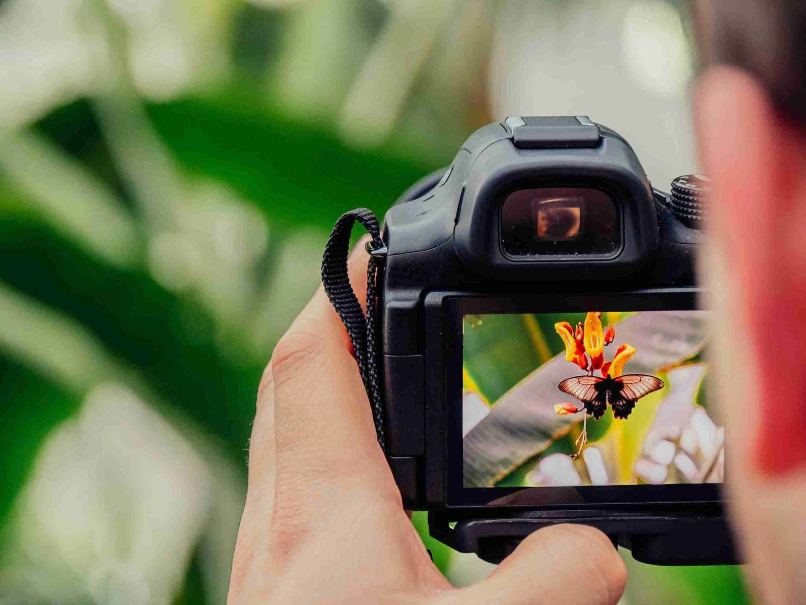 Easy Photography Tips for Better Visual Content